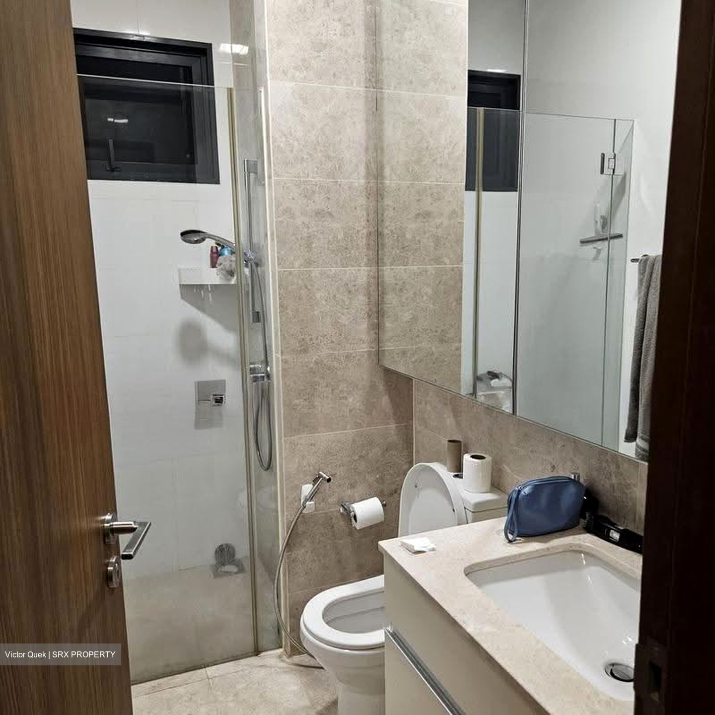 Eco Sanctuary (D23), Condominium #620661901